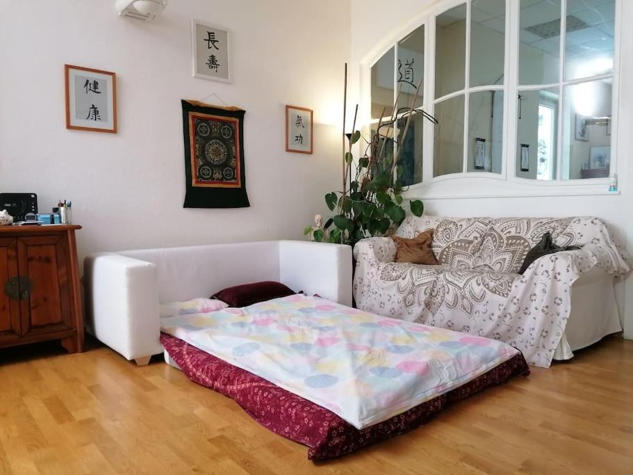 Einzigartige Studio-Atmosphaere Bamberg Dış mekan fotoğraf